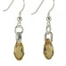 Pear Shaped Crystal Drop Earrings